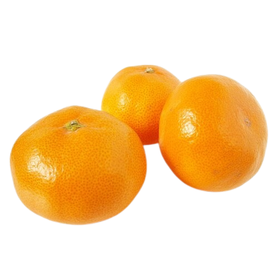 SATSUMA MANDALİNA FİDANI